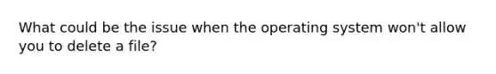 What could be the issue when the operating system won't allow you to delete a file?