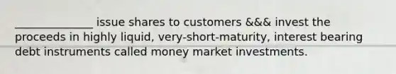 ______________ issue shares to customers &&& invest the proceeds in highly liquid, very-short-maturity, interest bearing debt instruments called money market investments.