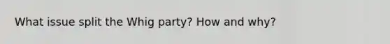 What issue split the Whig party? How and why?