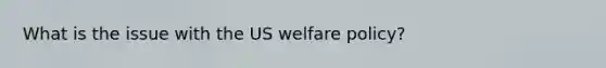 What is the issue with the US welfare policy?