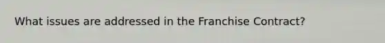 What issues are addressed in the Franchise Contract?