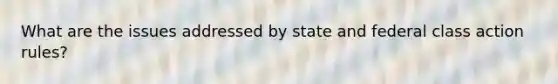What are the issues addressed by state and federal class action rules?