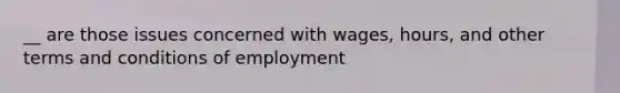 __ are those issues concerned with wages, hours, and other terms and conditions of employment