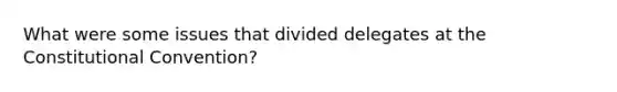 What were some issues that divided delegates at the Constitutional Convention?