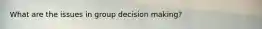 What are the issues in group decision making?