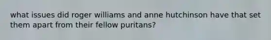 what issues did roger williams and anne hutchinson have that set them apart from their fellow puritans?