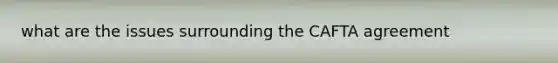 what are the issues surrounding the CAFTA agreement