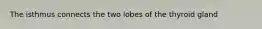 The isthmus connects the two lobes of the thyroid gland