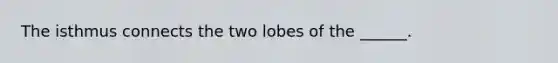 The isthmus connects the two lobes of the ______.