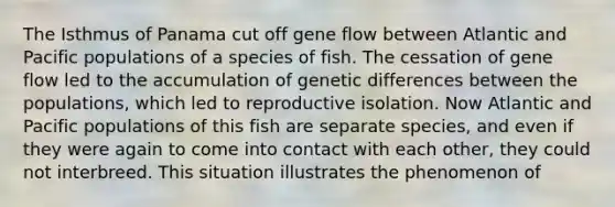 The Isthmus of Panama cut off gene flow between Atlantic and Pacific populations of a species of fish. The cessation of gene flow led to the accumulation of genetic differences between the populations, which led to reproductive isolation. Now Atlantic and Pacific populations of this fish are separate species, and even if they were again to come into contact with each other, they could not interbreed. This situation illustrates the phenomenon of