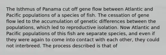 The Isthmus of Panama cut off gene flow between Atlantic and Pacific populations of a species of fish. The cessation of gene flow led to the accumulation of genetic differences between the populations, which led to reproductive isolation. Now Atlantic and Pacific populations of this fish are separate species, and even if they were again to come into contact with each other, they could not interbreed. The process described is that of