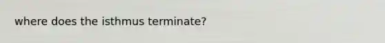 where does the isthmus terminate?