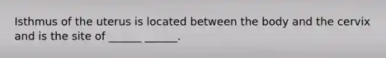 Isthmus of the uterus is located between the body and the cervix and is the site of ______ ______.