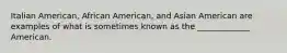 Italian American, African American, and Asian American are examples of what is sometimes known as the _____________ American.