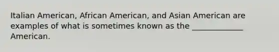 Italian American, African American, and Asian American are examples of what is sometimes known as the _____________ American.