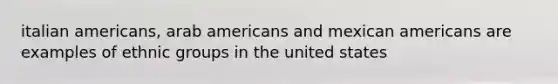 italian americans, arab americans and mexican americans are examples of ethnic groups in the united states