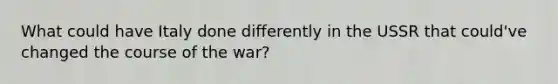 What could have Italy done differently in the USSR that could've changed the course of the war?