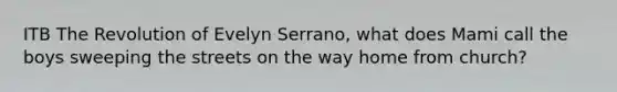 ITB The Revolution of Evelyn Serrano, what does Mami call the boys sweeping the streets on the way home from church?