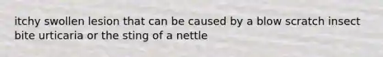 itchy swollen lesion that can be caused by a blow scratch insect bite urticaria or the sting of a nettle