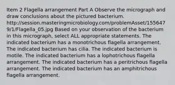 Item 2 Flagella arrangement Part A Observe the micrograph and draw conclusions about the pictured bacterium. http://session.masteringmicrobiology.com/problemAsset/1556479/1/Flagella_05.jpg Based on your observation of the bacterium in this micrograph, select ALL appropriate statements. The indicated bacterium has a monotrichous flagella arrangement. The indicated bacterium has cilia. The indicated bacterium is motile. The indicated bacterium has a lophotrichous flagella arrangement. The indicated bacterium has a peritrichous flagella arrangement. The indicated bacterium has an amphitrichous flagella arrangement.