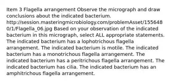 Item 3 Flagella arrangement Observe the micrograph and draw conclusions about the indicated bacterium. http://session.masteringmicrobiology.com/problemAsset/1556480/1/Flagella_06.jpg Based on your observation of the indicated bacterium in this micrograph, select ALL appropriate statements. The indicated bacterium has a lophotrichous flagella arrangement. The indicated bacterium is motile. The indicated bacterium has a monotrichous flagella arrangement. The indicated bacterium has a peritrichous flagella arrangement. The indicated bacterium has cilia. The indicated bacterium has an amphitrichous flagella arrangement.