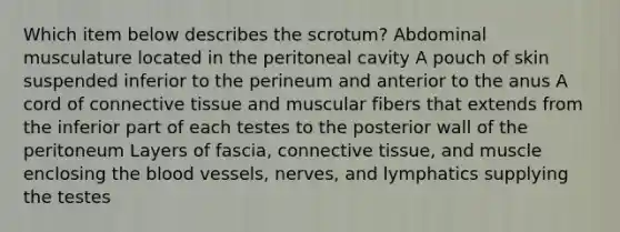 Which item below describes the scrotum? Abdominal musculature located in the peritoneal cavity A pouch of skin suspended inferior to the perineum and anterior to the anus A cord of connective tissue and muscular fibers that extends from the inferior part of each testes to the posterior wall of the peritoneum Layers of fascia, connective tissue, and muscle enclosing the blood vessels, nerves, and lymphatics supplying the testes