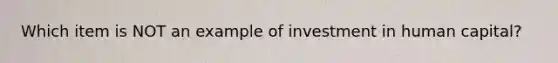 Which item is NOT an example of investment in human capital?