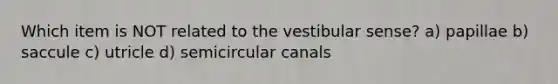 Which item is NOT related to the vestibular sense? a) papillae b) saccule c) utricle d) semicircular canals