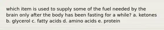 which item is used to supply some of the fuel needed by the brain only after the body has been fasting for a while? a. ketones b. glycerol c. fatty acids d. amino acids e. protein