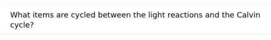 What items are cycled between the light reactions and the Calvin cycle?