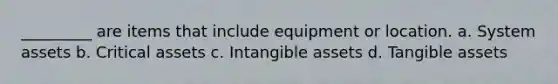 _________ are items that include equipment or location. a. System assets b. Critical assets c. Intangible assets d. Tangible assets