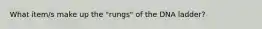 What item/s make up the "rungs" of the DNA ladder?