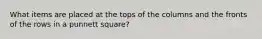 What items are placed at the tops of the columns and the fronts of the rows in a punnett square?