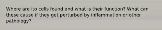 Where are Ito cells found and what is their function? What can these cause if they get perturbed by inflammation or other pathology?