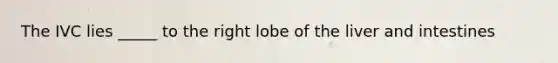 The IVC lies _____ to the right lobe of the liver and intestines
