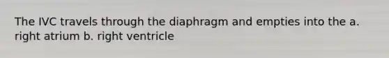 The IVC travels through the diaphragm and empties into the a. right atrium b. right ventricle