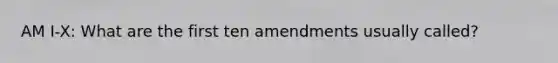 AM I-X: What are the first ten amendments usually called?