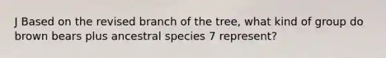 J Based on the revised branch of the tree, what kind of group do brown bears plus ancestral species 7 represent?