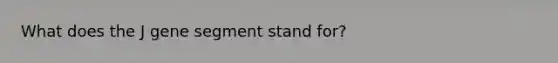 What does the J gene segment stand for?