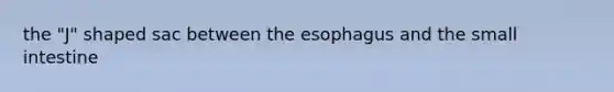 the "J" shaped sac between the esophagus and the small intestine