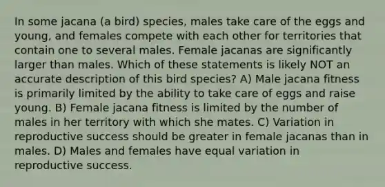 In some jacana (a bird) species, males take care of the eggs and young, and females compete with each other for territories that contain one to several males. Female jacanas are significantly larger than males. Which of these statements is likely NOT an accurate description of this bird species? A) Male jacana fitness is primarily limited by the ability to take care of eggs and raise young. B) Female jacana fitness is limited by the number of males in her territory with which she mates. C) Variation in reproductive success should be greater in female jacanas than in males. D) Males and females have equal variation in reproductive success.