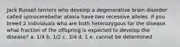 Jack Russell terriers who develop a degenerative brain disorder called spinocerebellar ataxia have two recessive alleles. if you breed 2 individuals who are both heterozygous for the disease. what fraction of the offspring is expected to develop the disease? a. 1/4 b. 1/2 c. 3/4 d. 1 e. cannot be determined