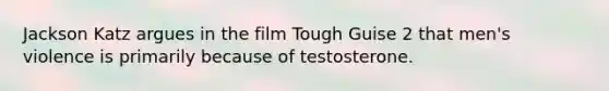 Jackson Katz argues in the film Tough Guise 2 that men's violence is primarily because of testosterone.