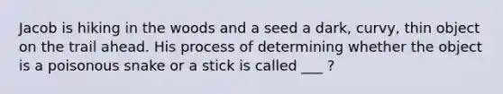 Jacob is hiking in the woods and a seed a dark, curvy, thin object on the trail ahead. His process of determining whether the object is a poisonous snake or a stick is called ___ ?