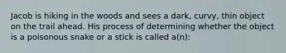 Jacob is hiking in the woods and sees a dark, curvy, thin object on the trail ahead. His process of determining whether the object is a poisonous snake or a stick is called a(n):