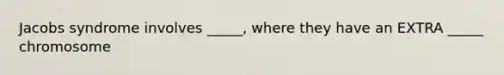 Jacobs syndrome involves _____, where they have an EXTRA _____ chromosome
