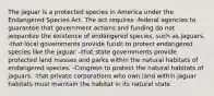 The jaguar is a protected species in America under the Endangered Species Act. The act requires -federal agencies to guarantee that government actions and funding do not jeopardize the existence of endangered species, such as jaguars. -that local governments provide funds to protect endangered species like the jaguar. -that state governments provide protected land masses and parks within the natural habitats of endangered species. -Congress to protect the natural habitats of jaguars. -that private corporations who own land within jaguar habitats must maintain the habitat in its natural state.