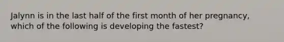 Jalynn is in the last half of the first month of her pregnancy, which of the following is developing the fastest?