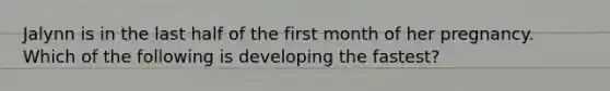 Jalynn is in the last half of the first month of her pregnancy. Which of the following is developing the fastest?