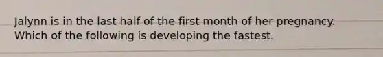 Jalynn is in the last half of the first month of her pregnancy. Which of the following is developing the fastest.